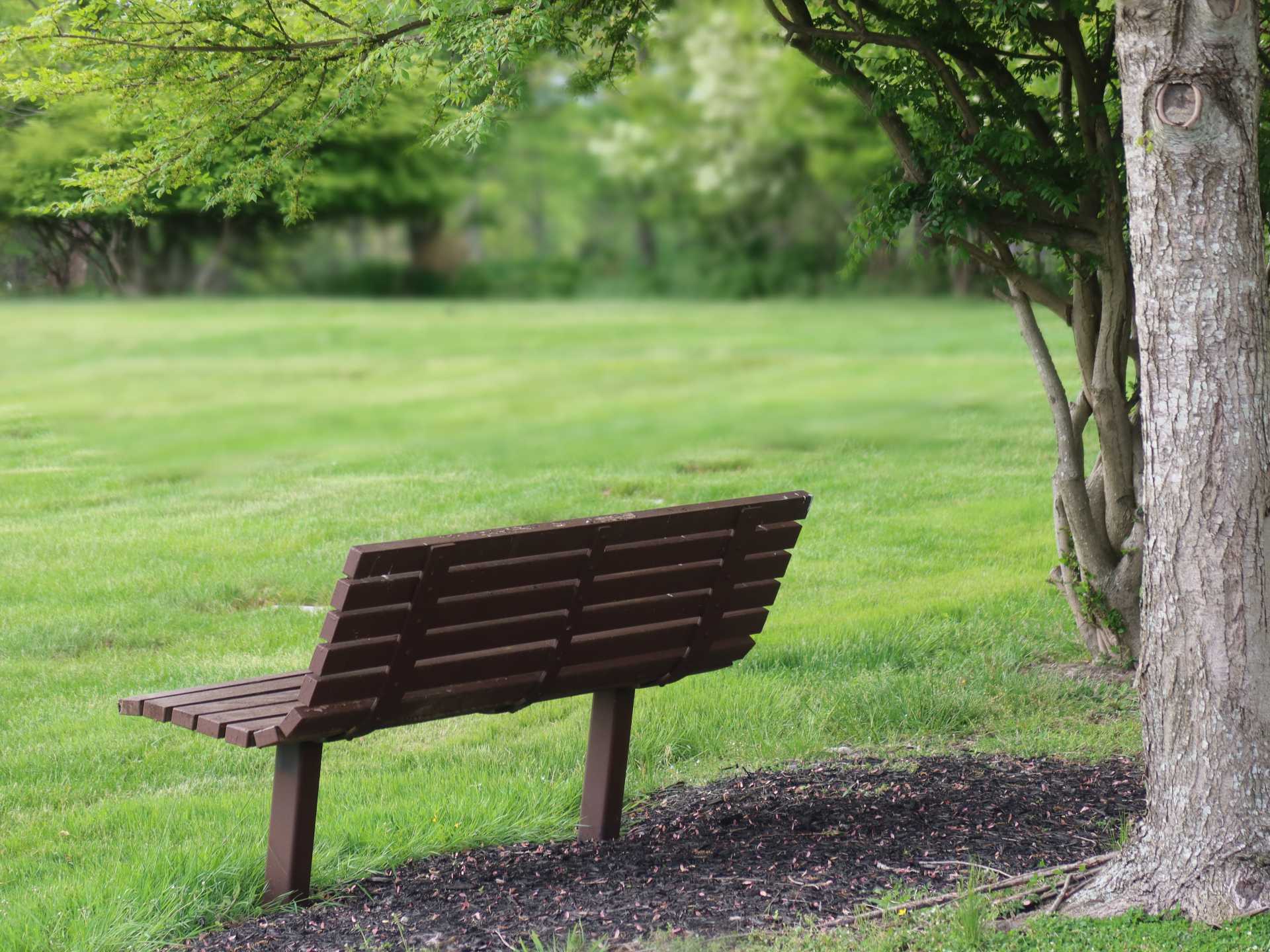unsplash.com / Ann